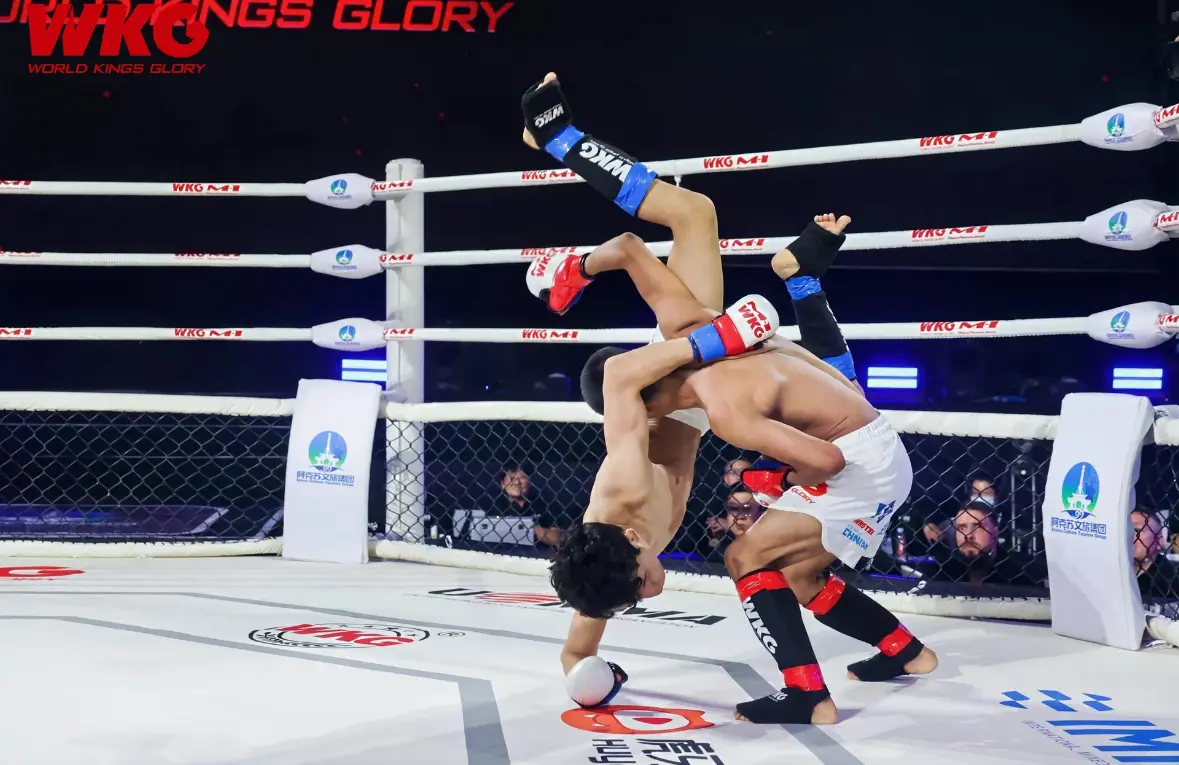 腿接勾腹拳, 他们争夺的 腿接勾腹拳, 他们争夺的